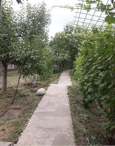 10 соток, Айыл чарба үчүн, Кызыл китеп — 4