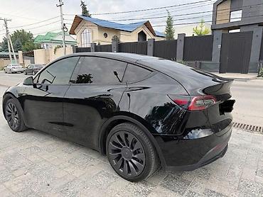 byd e6: Tesla Model Y: 2020 г., Электромобиль, Кроссовер — 2