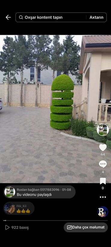 Landşaft işləri: : bağban axran işləri görürəm bütün növ ağcların gülərin əkilməsi — 10