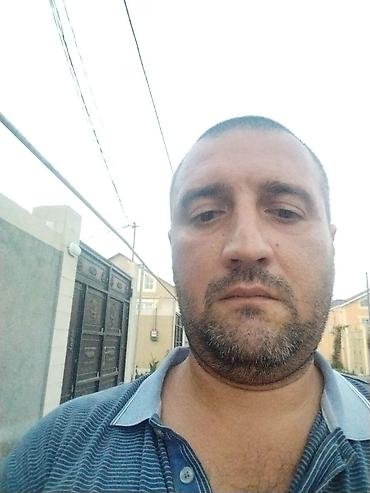 itler pulsuz: Koker spaniyel, 2 il, Dişi, Ünvandan götürmə — 4