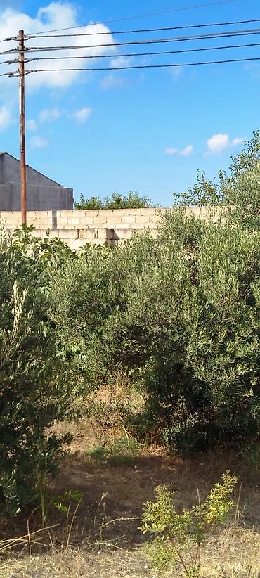 Torpaq sahələrinin satışı: 5 sot, Tikinti -da lalafo.az — 14 Torpaq sahələrinin satışı: 5 sot, Tikinti — 14