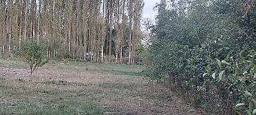 Продажа участков: 30 соток at lalafo.kg — 3 Продажа участков: 30 соток — 3