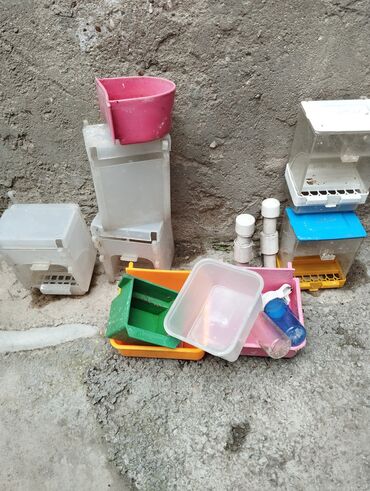 Tutuquşları: Işlənmiş yem qabları hamsı biryerdə 8 manata