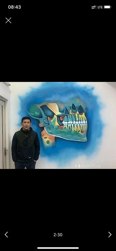 Декоративная роспись: Аэрография, Художественная роспись, Барельеф Больше 6 лет опыта — 16