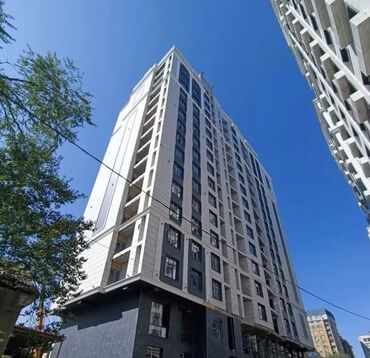 разделитель комнаты: 1 комната, 42 м², Элитка, 10 этаж, ПСО (под самоотделку)