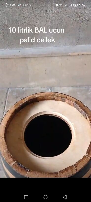 Bağ və bostan üçün digər məhsullar: Turşu tutma üçün qapaqlı xalis palıd çəlləklər. sifarişlə — 10