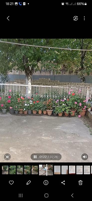 Bağ evlərinin kirayəsi: 60 kv. m, 4 otaqlı, Hovuzsuz, Qaz, Kombi, İnternet — 8