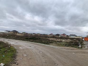 Torpaq sahələrinin satışı: 75 sot, Tikinti -da lalafo.az — 9 Torpaq sahələrinin satışı: 75 sot, Tikinti — 9