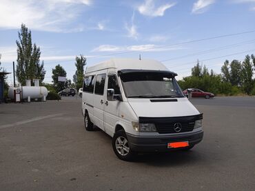 подножки на спринтер: Mercedes-Benz Sprinter: 1998 г., 2.9 л, Механика, Дизель, Бус