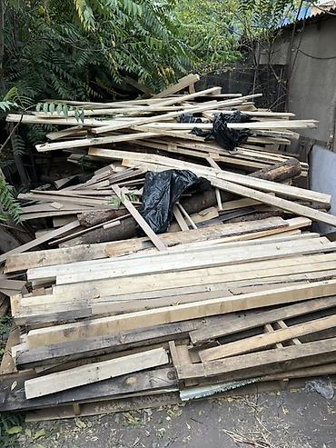 бу леса: Хвоя — 2