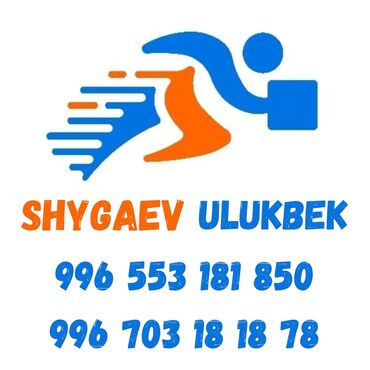 Декоративные деревья: Саженцы деревьев: Туи — 30