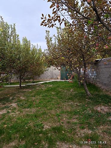 Продажа коттеджей и домов: Продам частный дом! Район: Начало ул. Шералиева Ул. Бишкек-125 — 28