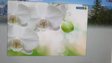 Натяжной потолок: Натяжной потолок Глянцевое, Матовое, 3D потолки Бесплатная консультация, Демонтаж, Бесплатный замер — 8