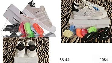 Patike: SUPERSTAR LIMITED ED. TOP MODELI, HIT 2025-26 | Adidas superstar x — 4