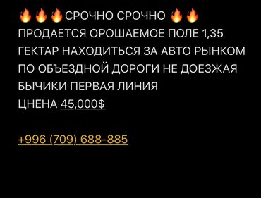 Продажа участков: Для сельского хозяйства