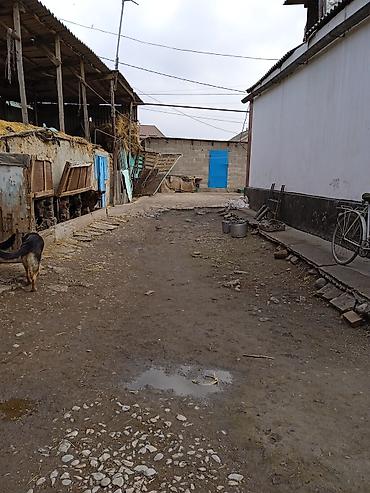 Продажа коттеджей и домов: В продаже дом город Бишкек село маевка дом три комнаты большой зал — 5