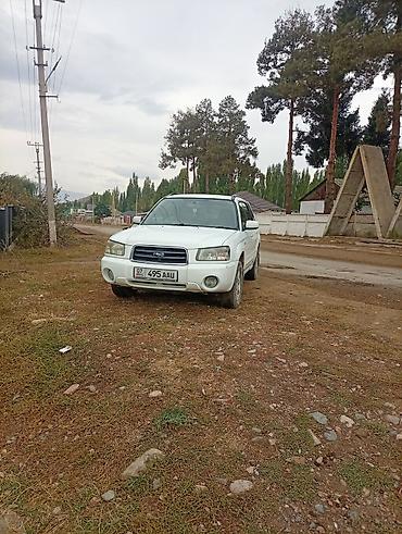 Subaru: Subaru Forester: 2003 г., 2 л, Автомат, Бензин, Кроссовер — 2