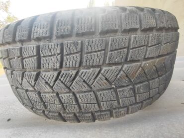 колесо для газ 53: Шины 255 / 50 / R 19, Зима