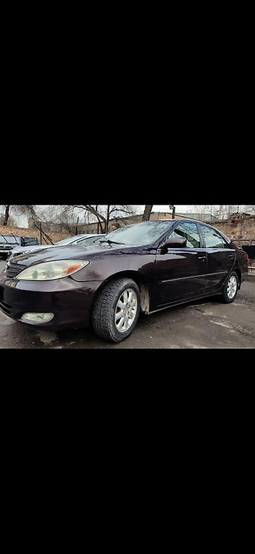 kamri 75: Toyota Camry: 2003 г., 2.4 л, Автомат, Бензин, Седан — 2