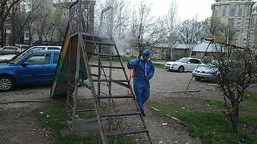 Клининговые услуги: Дезинфекция, дезинсекция, | Клопы, Блохи, Тараканы, | Транспорт, Офисы, Квартиры — 3