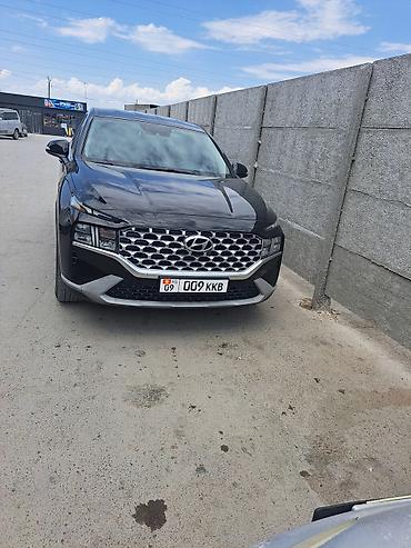 именной номер на машину: Hyundai Santa Fe: 2020 г., 2.2 л, Робот, Дизель, Кроссовер — 1