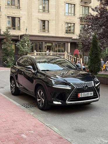 Lexus NX: 2020 г., Гибрид, Кроссовер