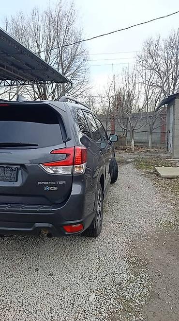 Subaru: Subaru Forester: 2021 г., 2.5 л, Вариатор, Гибрид, Кроссовер — 3