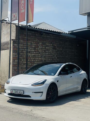 тесла машына: Tesla Model 3: 2019 г., 2 л, Автоматические, Электромобиль, Седан