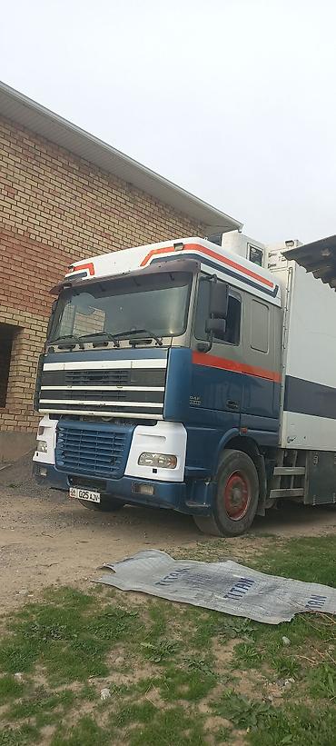 Грузовики: Грузовик, DAF — 3