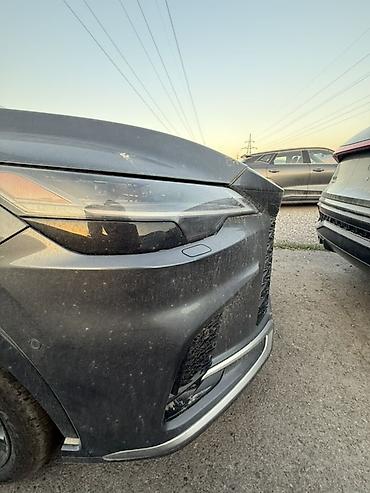 Lexus: Lexus RX: 2026 г., Кроссовер — 8