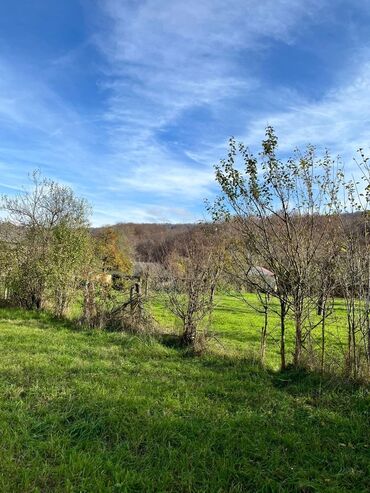Torpaq sahələrinin satışı: 18 sot, Biznes üçün, Kupça (Çıxarış) — 6