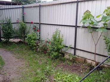 Bağ evlərinin kirayəsi: 40 kv. m, 2 otaqlı, Hovuzsuz, Kanalizasiya, İşıq, Qaz — 15