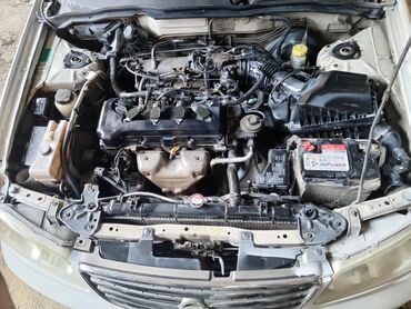 Nissan: Nissan Sunny: 1.6 l | 2004 il Sedan — 11