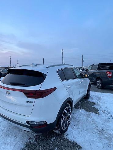 Kia: Kia Sportage: 2019 г., 2 л, Автомат, Дизель, Кроссовер — 2