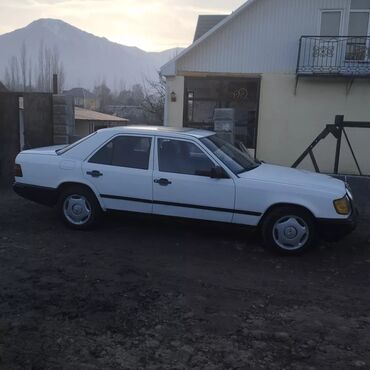 машина авди: Mercedes-Benz W124: 1988 г., 2.9 л, Механика, Дизель