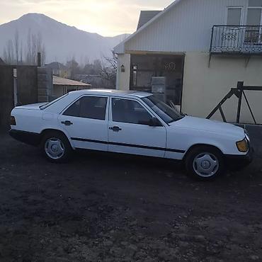 byd t5: Mercedes-Benz W124: 1988 г., 2.9 л, Механика, Дизель — 2