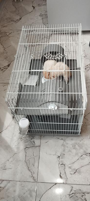 kompresor akvarium: Hamster üçün tam dəst qəfəs - Uç mərtəbəli metal barmaqlıqlı qəfəs — 4