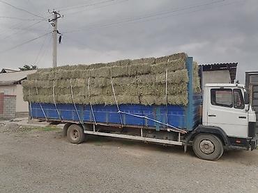 atego автовоз: Грузовик, Mercedes-Benz, Стандарт, Б/у — 7