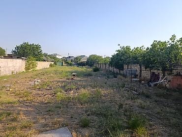 emircanda satilan evler: 1 otaqlı, 80 kv. m, Kredit yoxdur, Yeni təmirli — 6