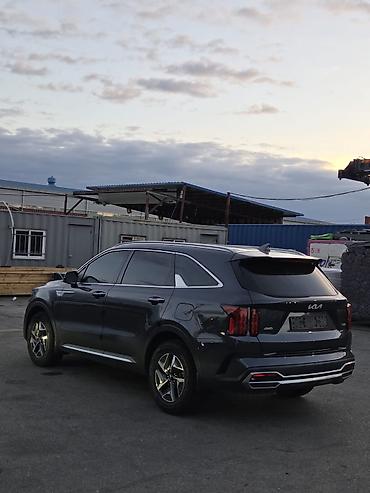 android авто: Kia Sorento: 2022 г., 1.6 л, Автомат, Гибрид, Внедорожник — 8