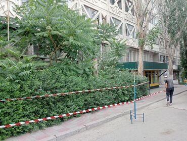 Демонтажные работы: Снос стен, Разбор полов, Снятие потолков | Гипсокартонная стена, Снос перегородки, Снятие старой штукатурки | Снятие шпатлевки, Снятие краски, Снятие подвесных потолков | Демонтаж кафельной плитки, Демонтаж деревянного пола, Демонтаж теплого пола | Крыша из шифера, Металлочерепичная кровля, Мягкая кровля Больше 6 лет опыта — 16