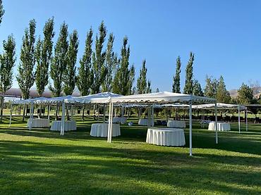 Стулья для кафе, ресторанов: Стул для кафе, ресторанов, Пластик — 10