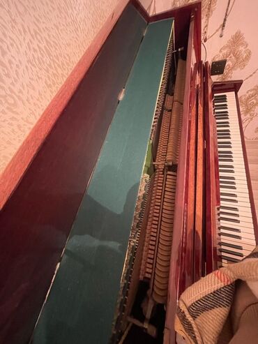 Midi-клавиатуры: Пианино, Беларусь, Акустический