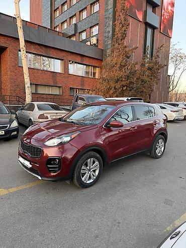 авто кж: Kia Sportage: 2017 г., 2.4 л, Автомат, Бензин, Кроссовер — 3