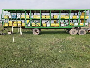 Digər kənd təssərüfat avadanlığı: Köçəri arıçılıq üçün komplekt trailer-karavanlar və avadanlıqlar - Üç — 7