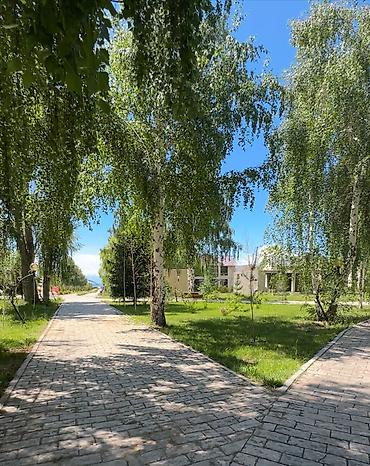 Иссык-Куль 2026: Квартира, квартира в азиа палас ЦО Asia Palace, Сары-Ой, Баскетбольная площадка, Парковка, стоянка, Футбольное поле — 7