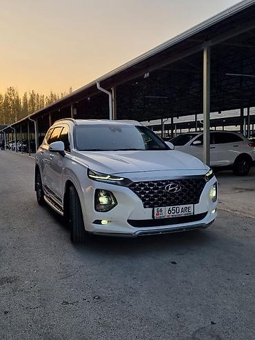 другие марки: Hyundai Santa Fe: 2019 г., 2 л, Автомат, Бензин, Кроссовер — 2