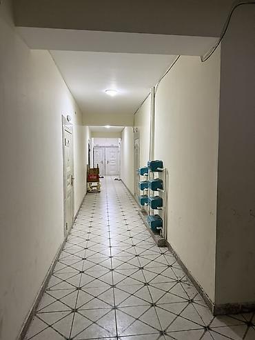 Mənzil kirayələyirəm: 3 otaqlı, 75 kv. m — 10