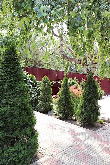 Бани, сауны, SPA: Баня | Комнаты отдыха — 18