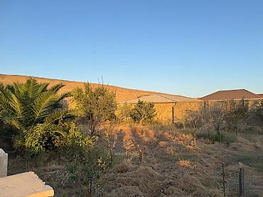 Torpaq: 8 sot, Tikinti, Mülkiyyətçi, Kupça (Çıxarış) — 7